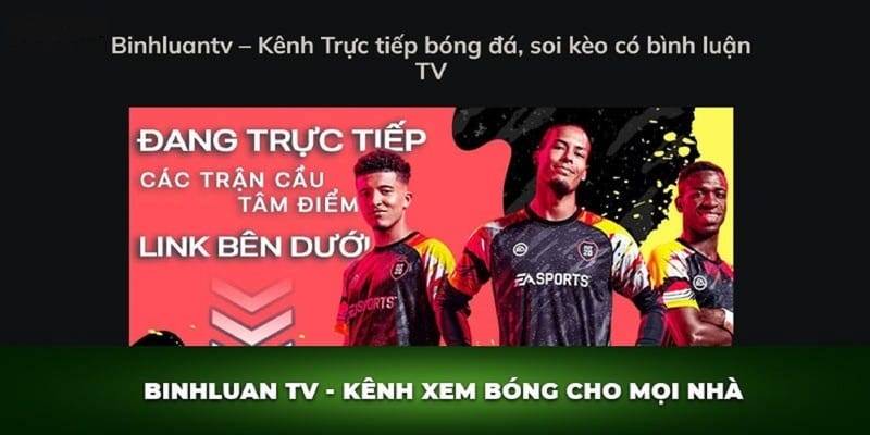 BinhluanTV - Đơn vị đáng tin cậy, uy tín cung cấp bóng đá miễn phí