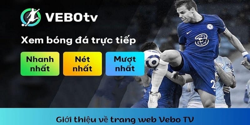 Vebo TV nhận được sự ủng hộ từ đông đảo người xem 